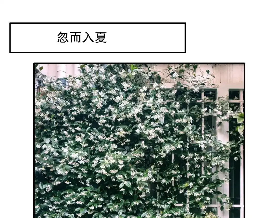 《山神与小枣》第89回 小枣变成长鳞片的怪物 第83页
