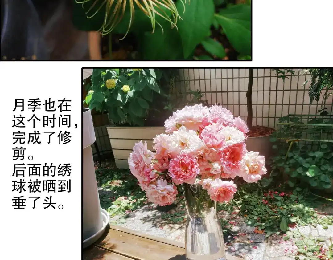 《山神与小枣》第89回 小枣变成长鳞片的怪物 第87页