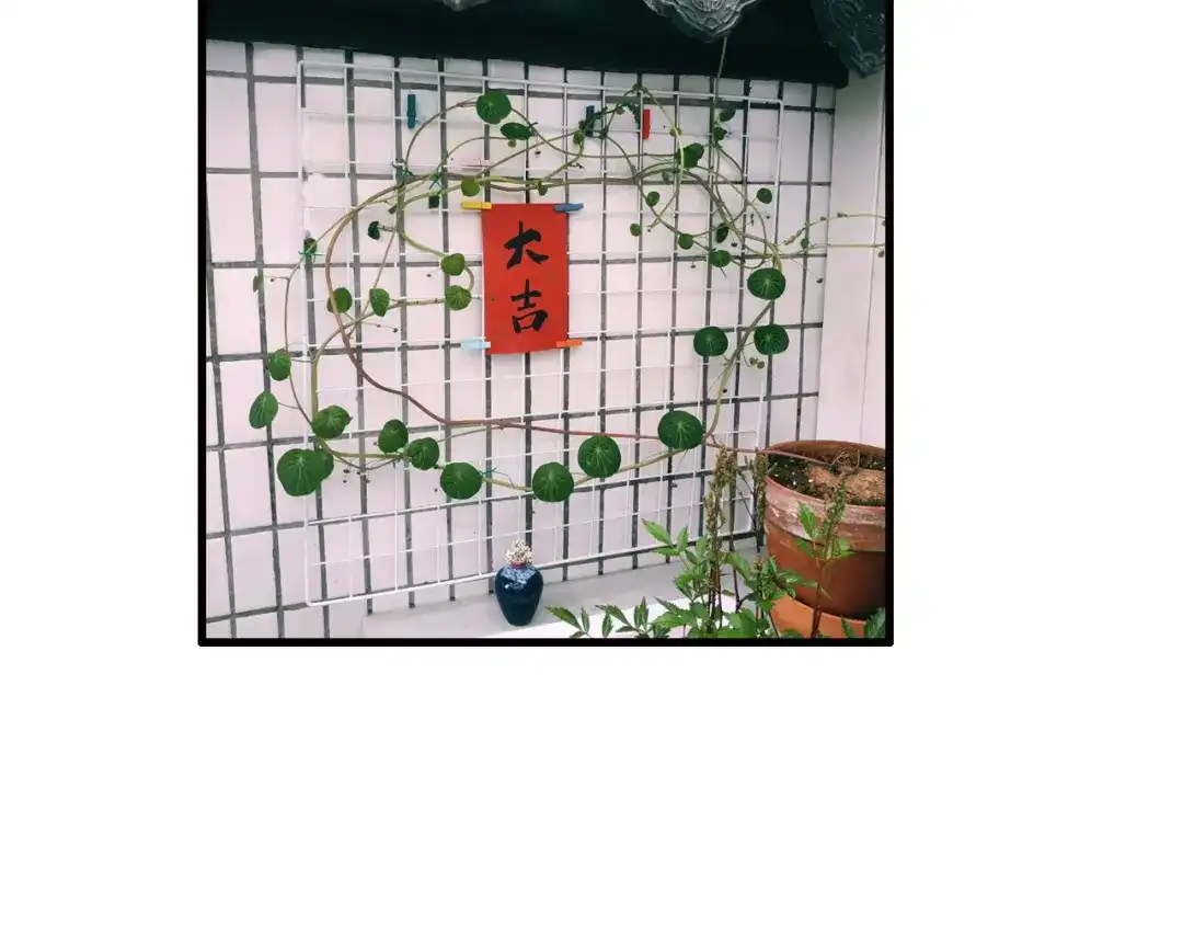 《山神与小枣》 推迟更新通知 第3页
