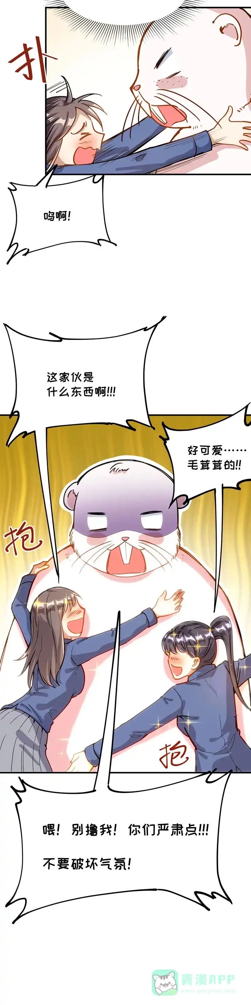 《烧啊我的卡路里》第39话 开打 第5页