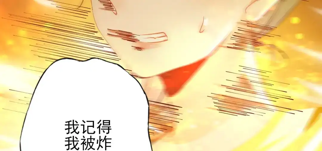 《杀手王妃不好惹》01-我被炸死了？ 第13页