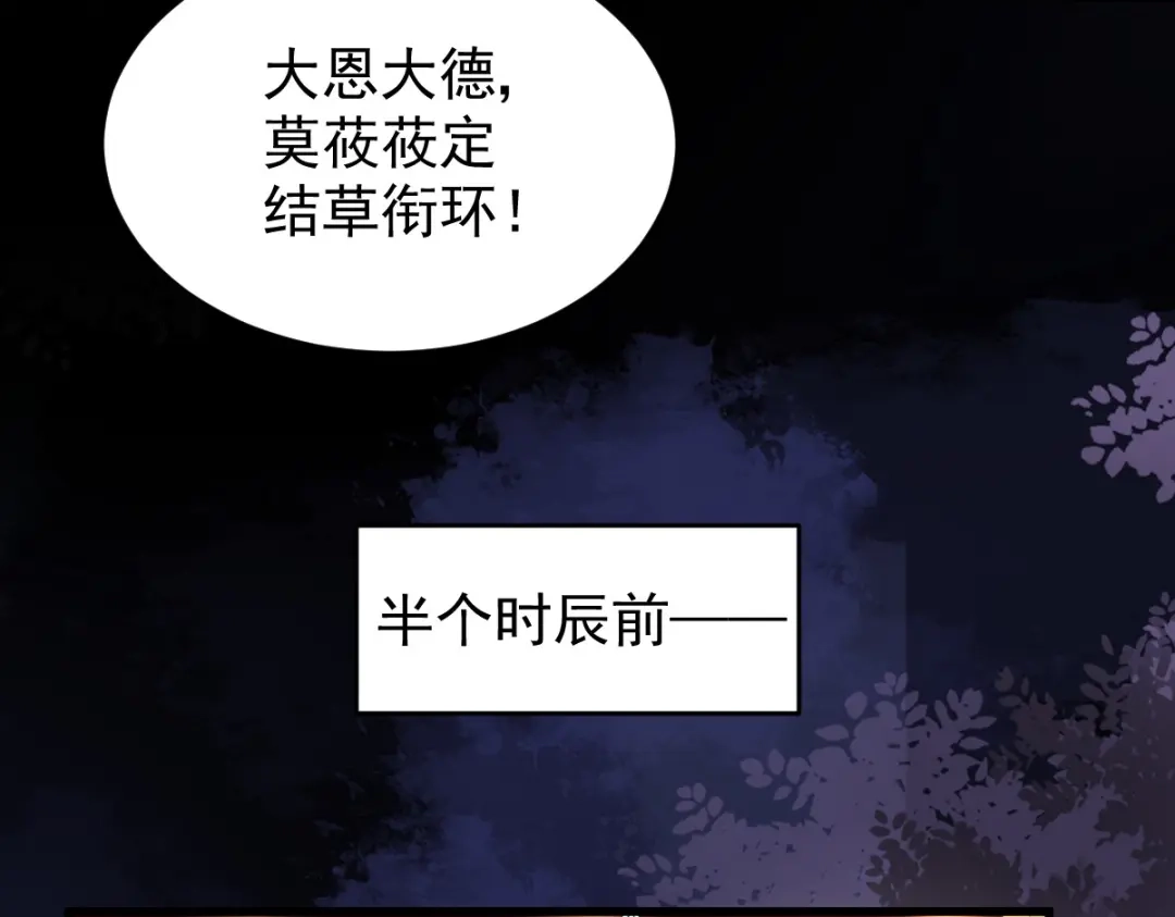 《杀手王妃不好惹》10-谋害 第12页