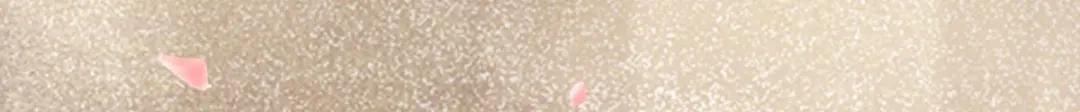 《杀手王妃不好惹》100-竹马vs天降 第50页