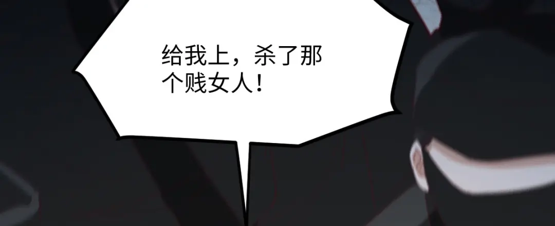 《杀手王妃不好惹》101-追杀 第132页