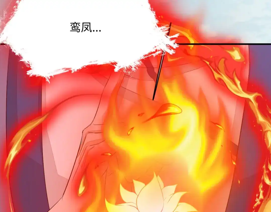 《杀手王妃不好惹》101-追杀 第79页