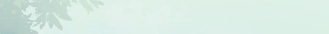 《杀手王妃不好惹》102-斩草除根 第71页