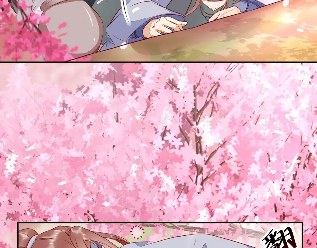 《杀手王妃不好惹》110-把酒言欢 第17页
