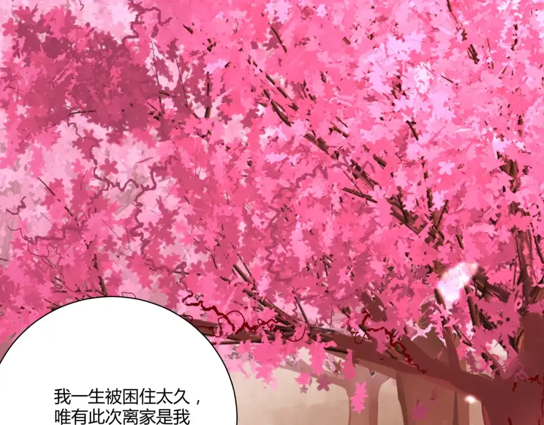 《杀手王妃不好惹》110-把酒言欢 第33页