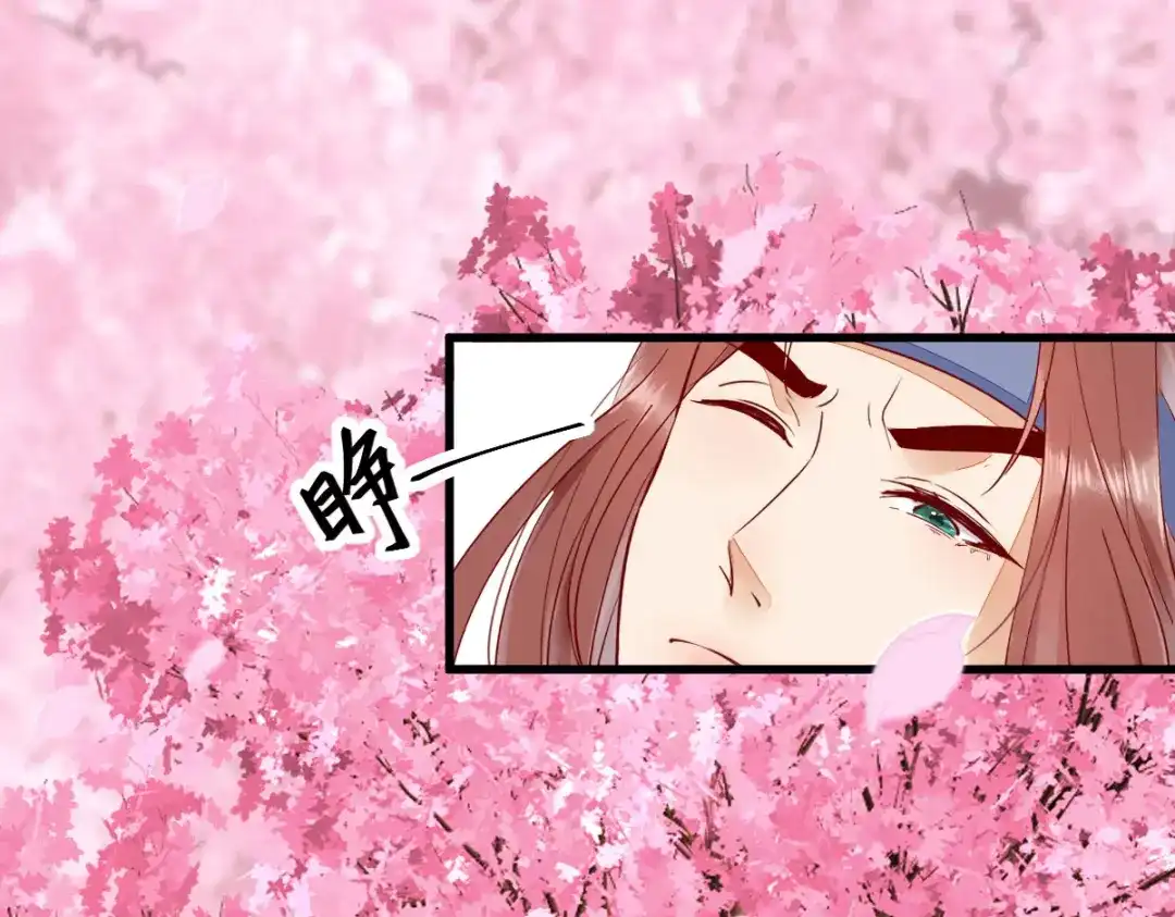 《杀手王妃不好惹》111-阴谋 第1页