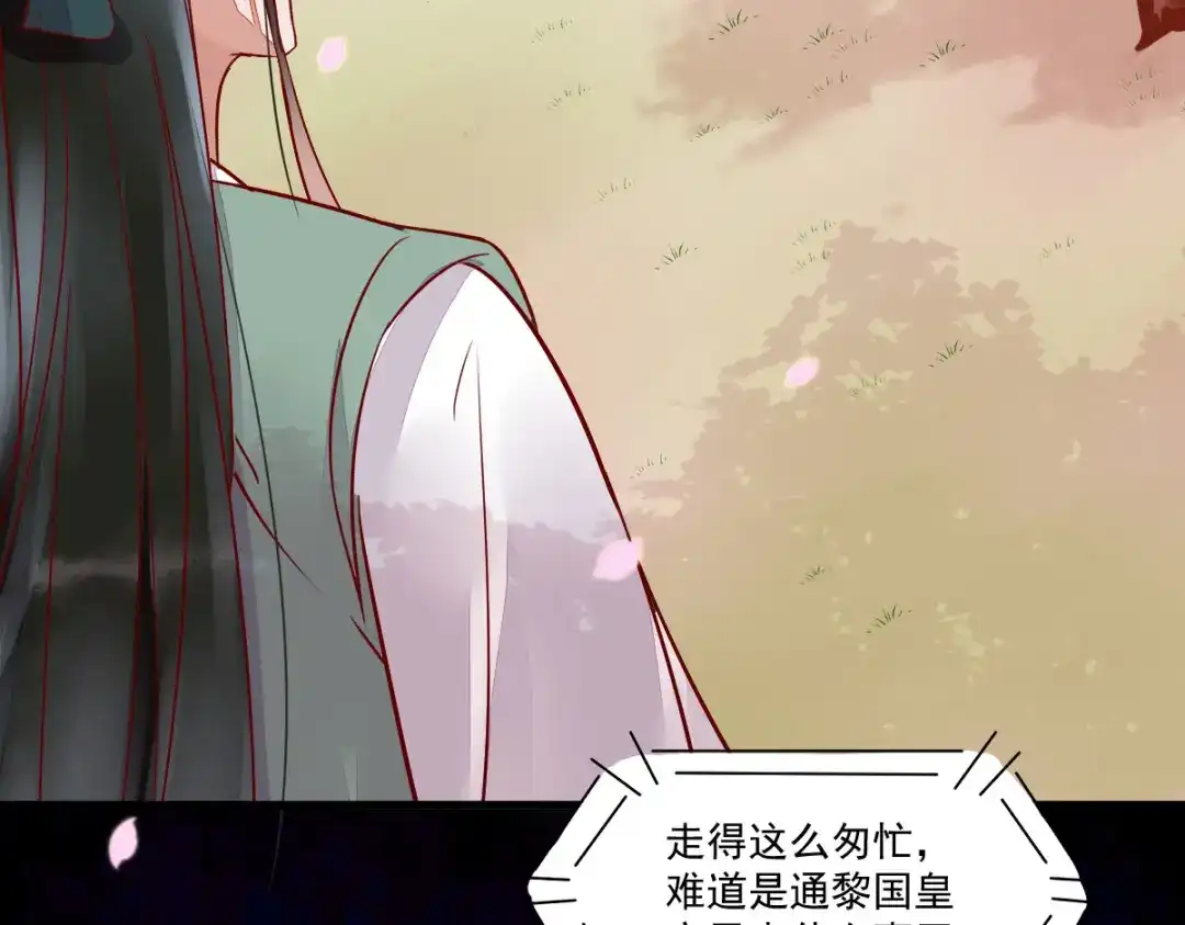 《杀手王妃不好惹》111-阴谋 第20页