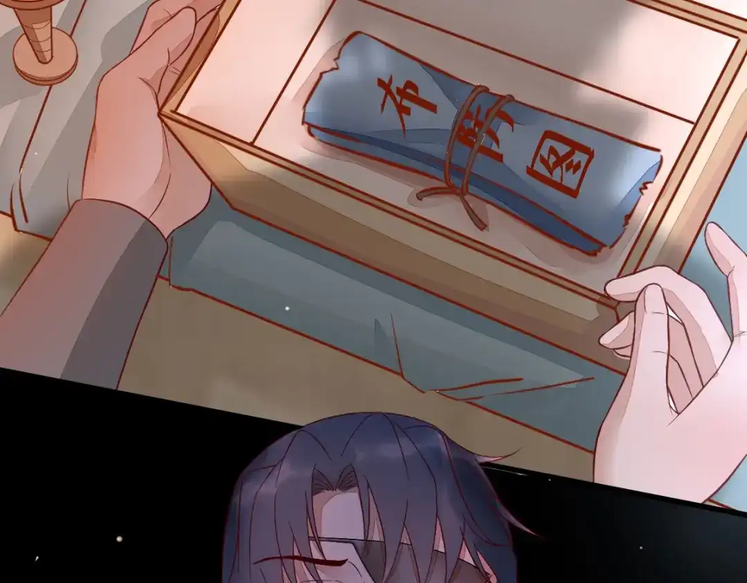 《杀手王妃不好惹》111-阴谋 第100页