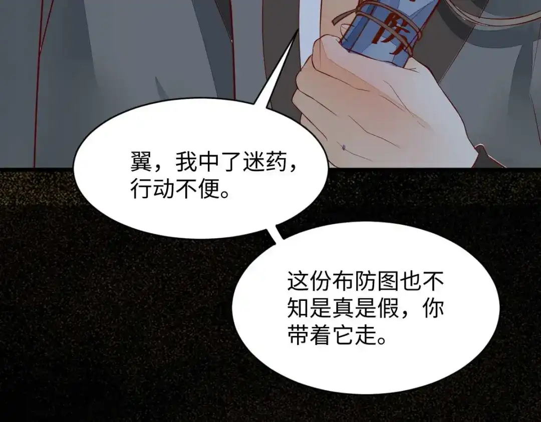 《杀手王妃不好惹》113-中计了 第76页