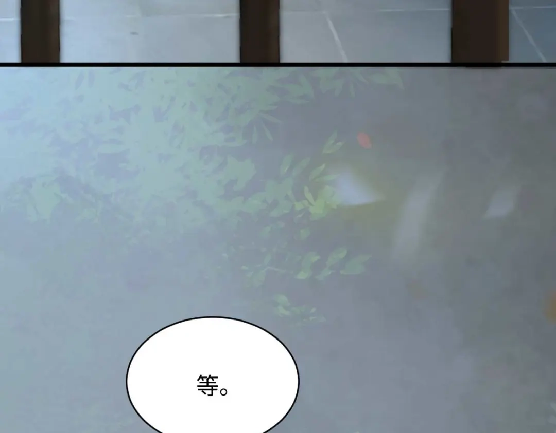 《杀手王妃不好惹》114-做个交易 第98页