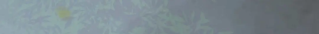 《杀手王妃不好惹》114-做个交易 第120页