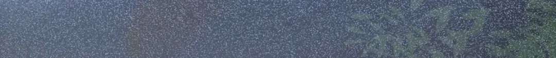 《杀手王妃不好惹》114-做个交易 第93页