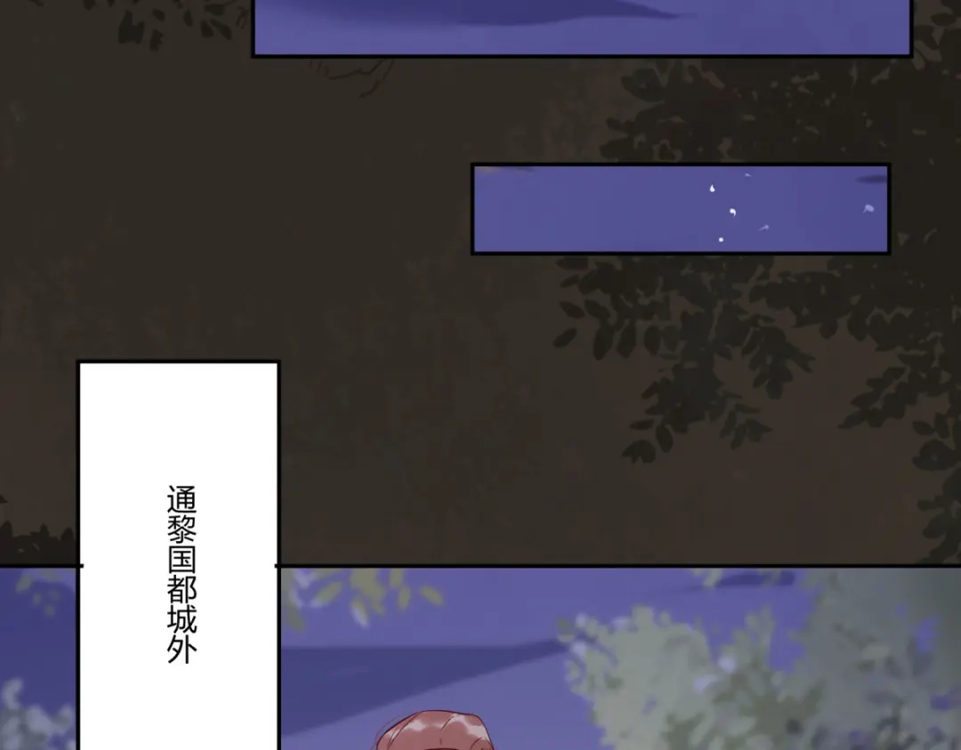 《杀手王妃不好惹》115-收买 第45页