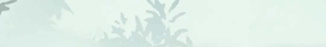 《杀手王妃不好惹》116-救人 第72页