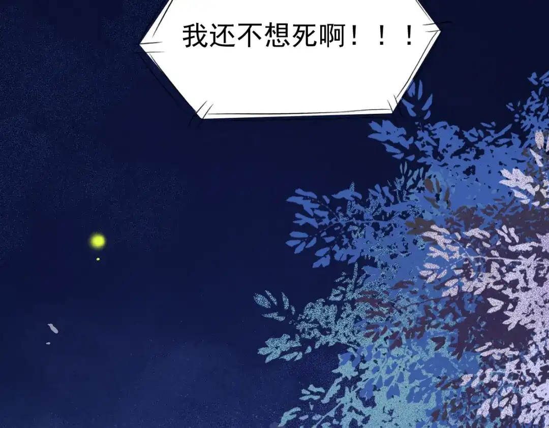 《杀手王妃不好惹》12-心动的感觉 第38页