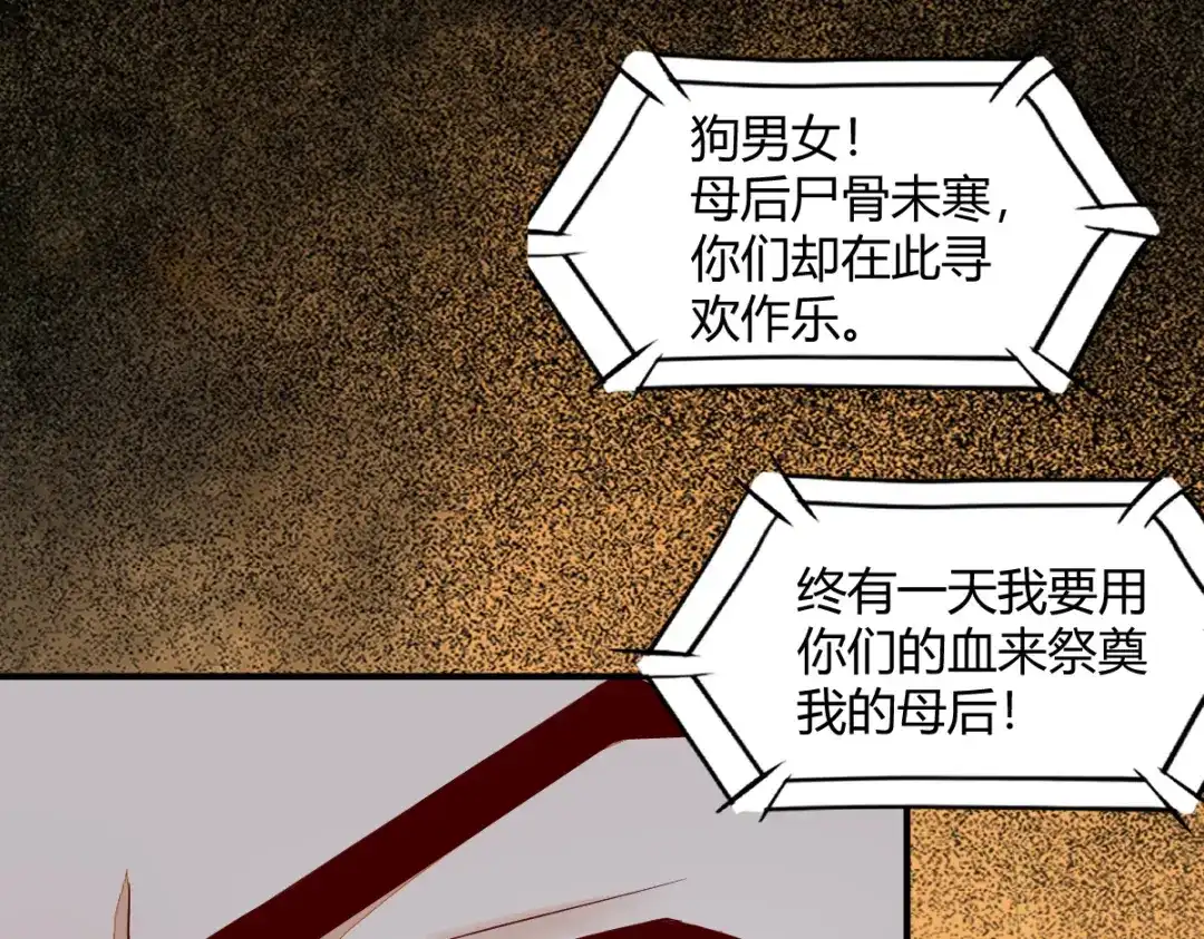 《杀手王妃不好惹》120-本王想与皇后做个交易 第13页