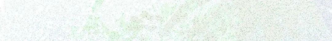 《杀手王妃不好惹》123-收买月儿 第16页