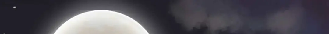 《杀手王妃不好惹》123-收买月儿 第82页