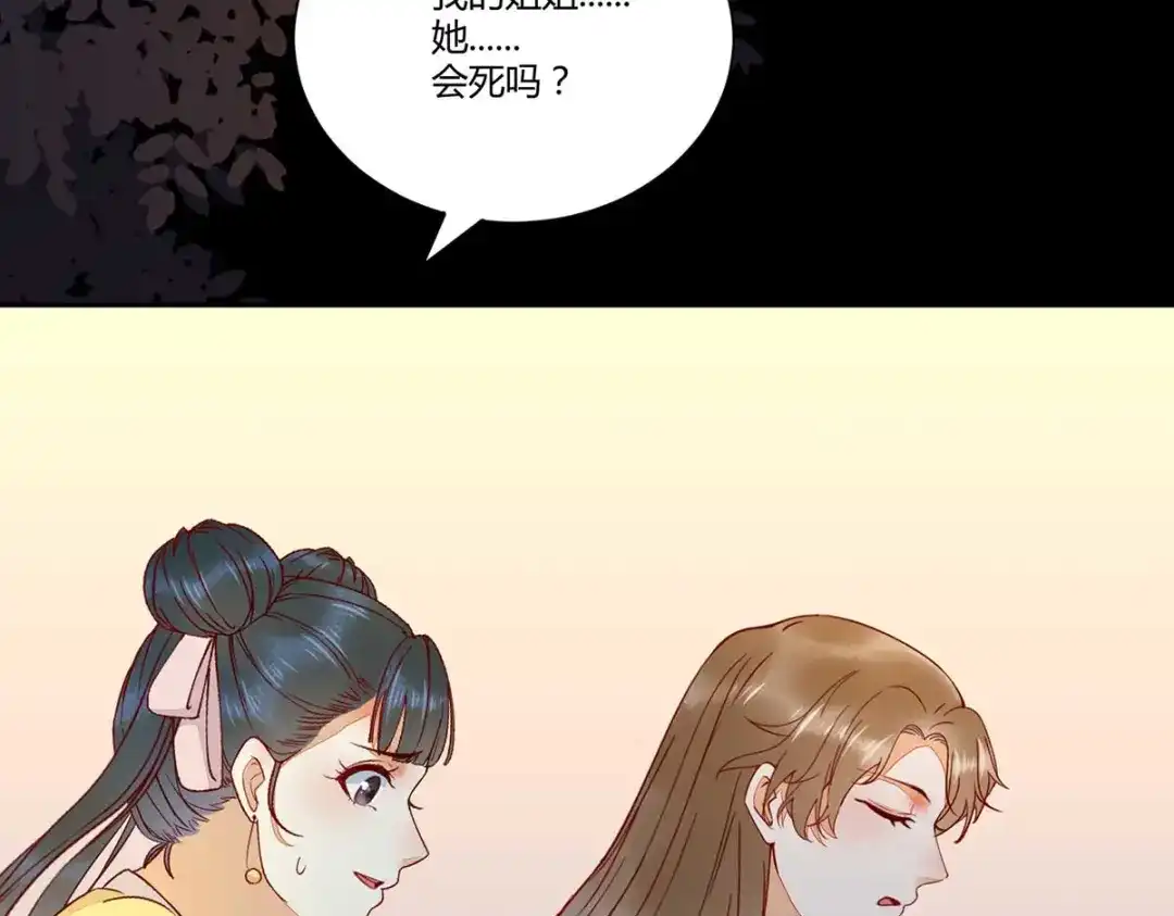 《杀手王妃不好惹》129-天衣无缝的计划 第111页