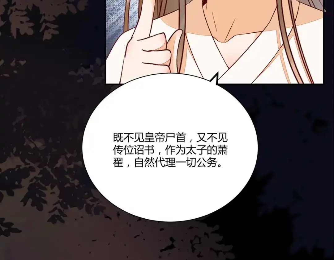 《杀手王妃不好惹》129-天衣无缝的计划 第24页