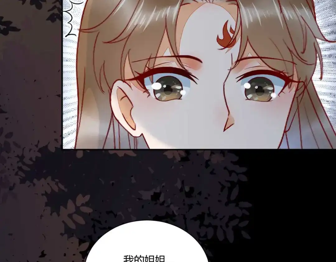 《杀手王妃不好惹》129-天衣无缝的计划 第110页