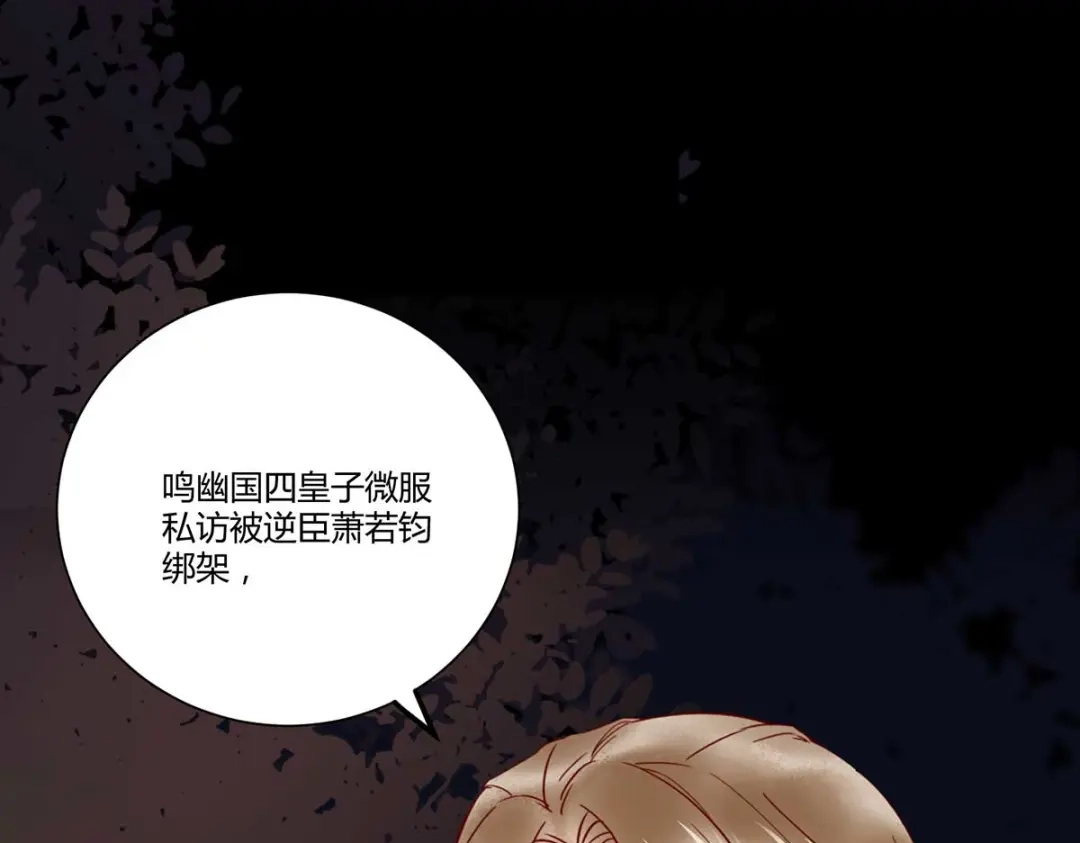 《杀手王妃不好惹》129-天衣无缝的计划 第37页
