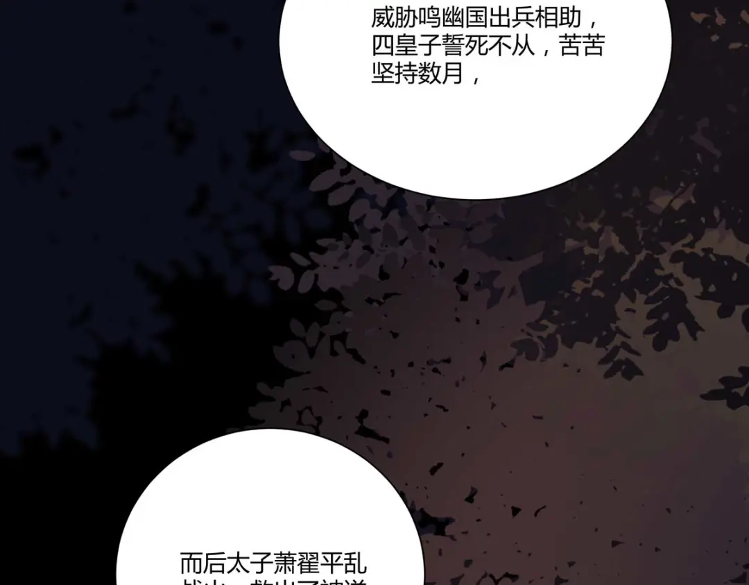 《杀手王妃不好惹》129-天衣无缝的计划 第40页
