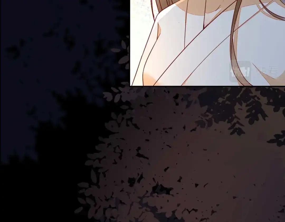 《杀手王妃不好惹》129-天衣无缝的计划 第11页