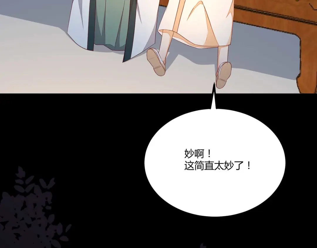 《杀手王妃不好惹》129-天衣无缝的计划 第43页