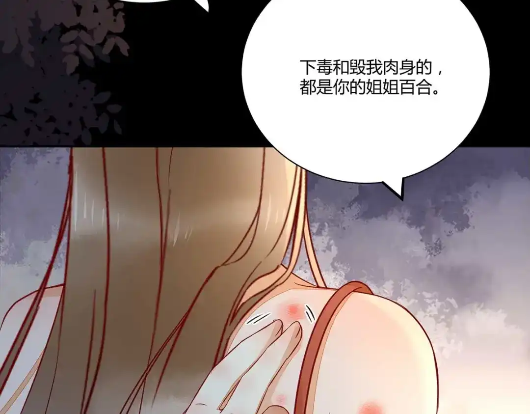 《杀手王妃不好惹》129-天衣无缝的计划 第119页
