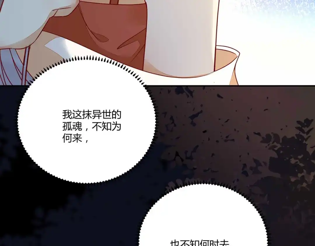 《杀手王妃不好惹》129-天衣无缝的计划 第107页
