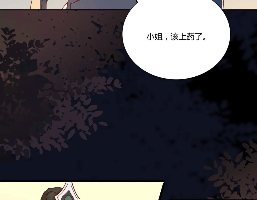 《杀手王妃不好惹》129-天衣无缝的计划 第82页