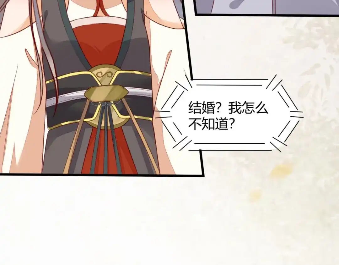 《杀手王妃不好惹》130-结婚？ 第67页