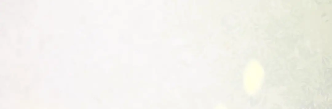 《杀手王妃不好惹》130-结婚？ 第88页