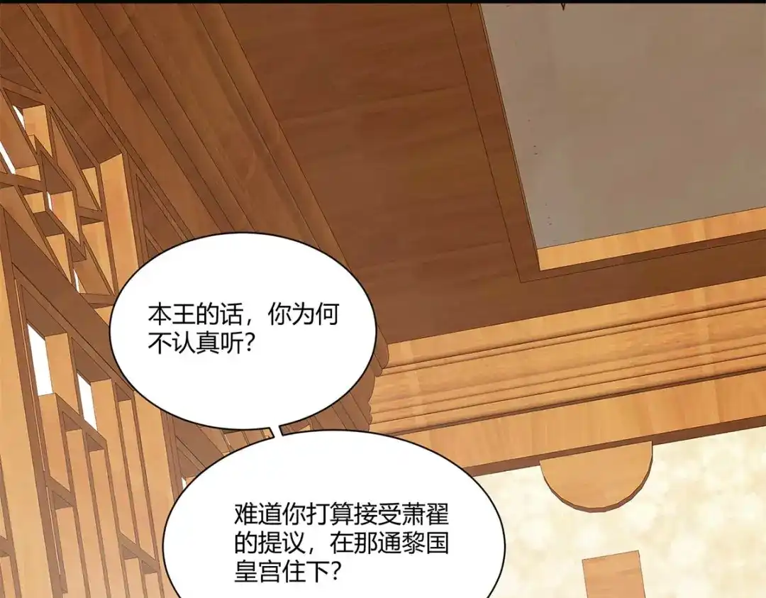 《杀手王妃不好惹》131-嫁给我好吗 第14页