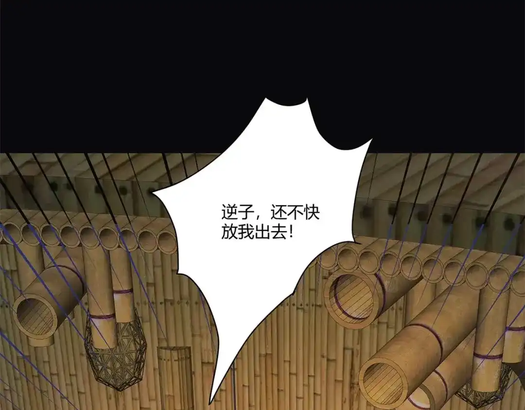 《杀手王妃不好惹》131-嫁给我好吗 第79页