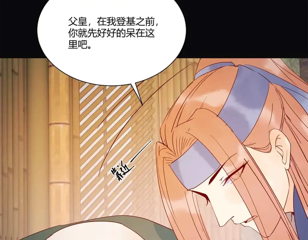 《杀手王妃不好惹》131-嫁给我好吗 第84页