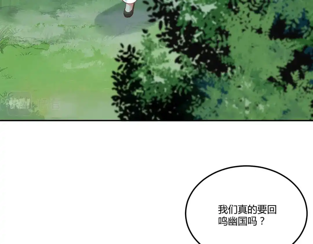 《杀手王妃不好惹》132-回到鸣幽国 第20页