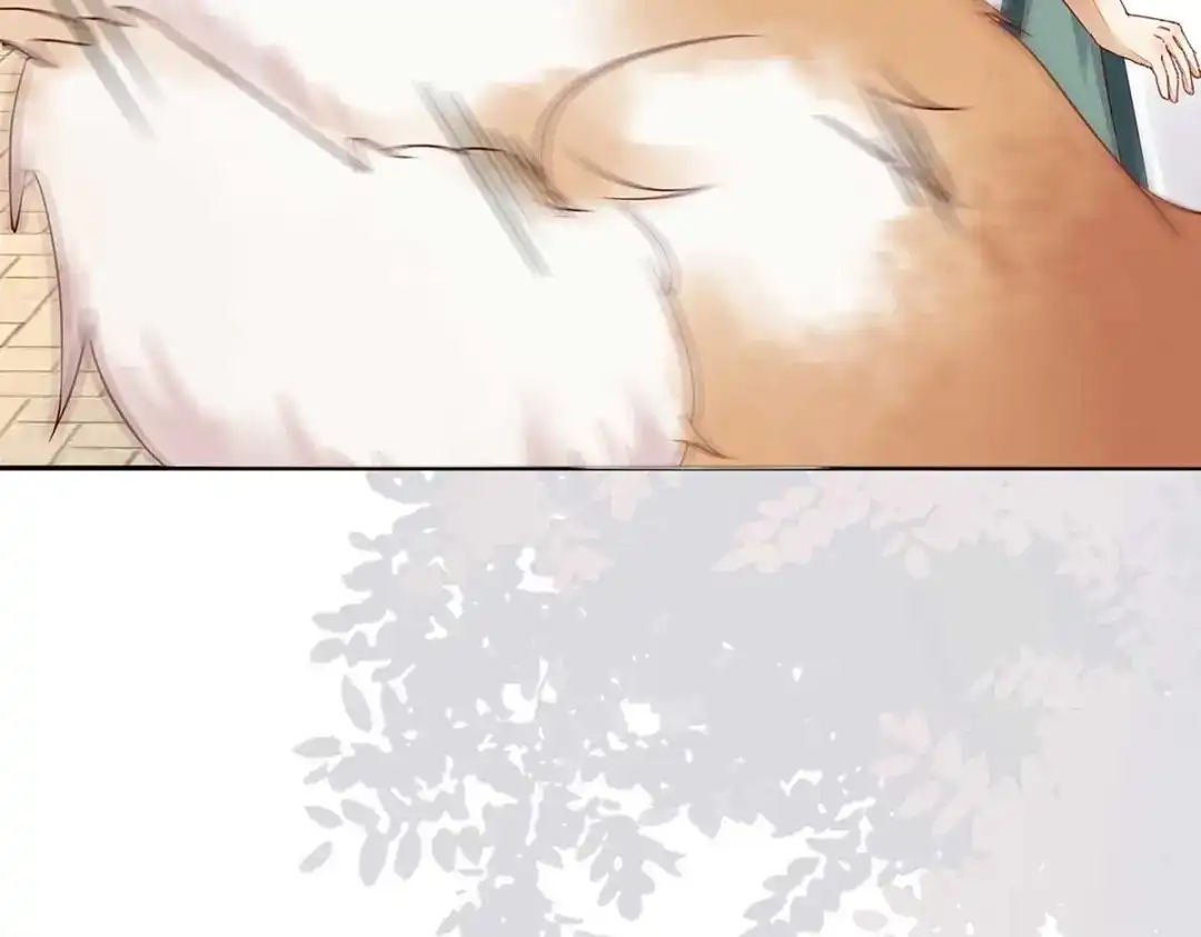 《杀手王妃不好惹》133-再见项少俞 第63页