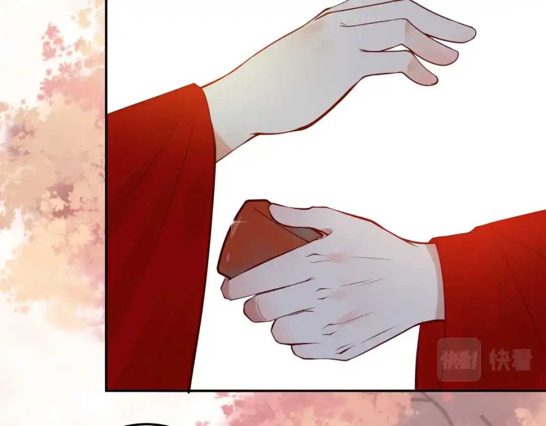 《杀手王妃不好惹》135-今日君大婚 第84页
