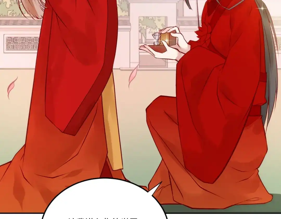 《杀手王妃不好惹》135-今日君大婚 第88页