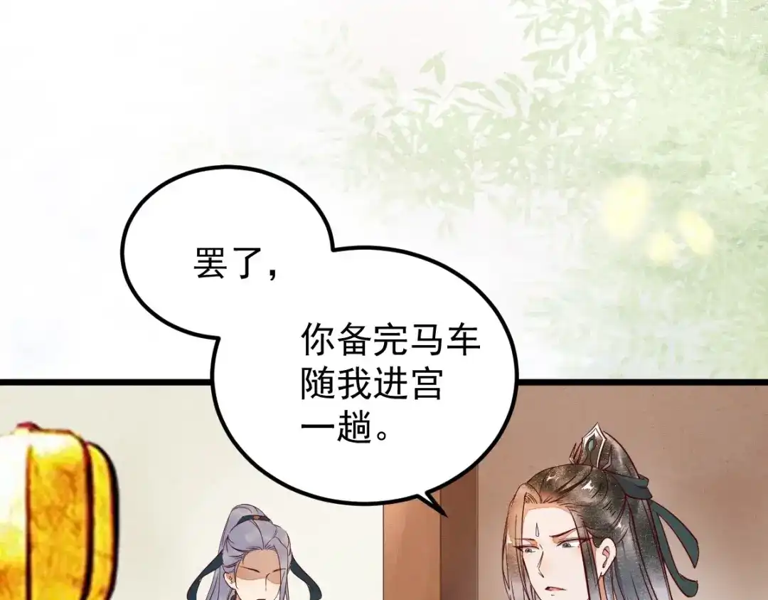 《杀手王妃不好惹》14-回家 第34页