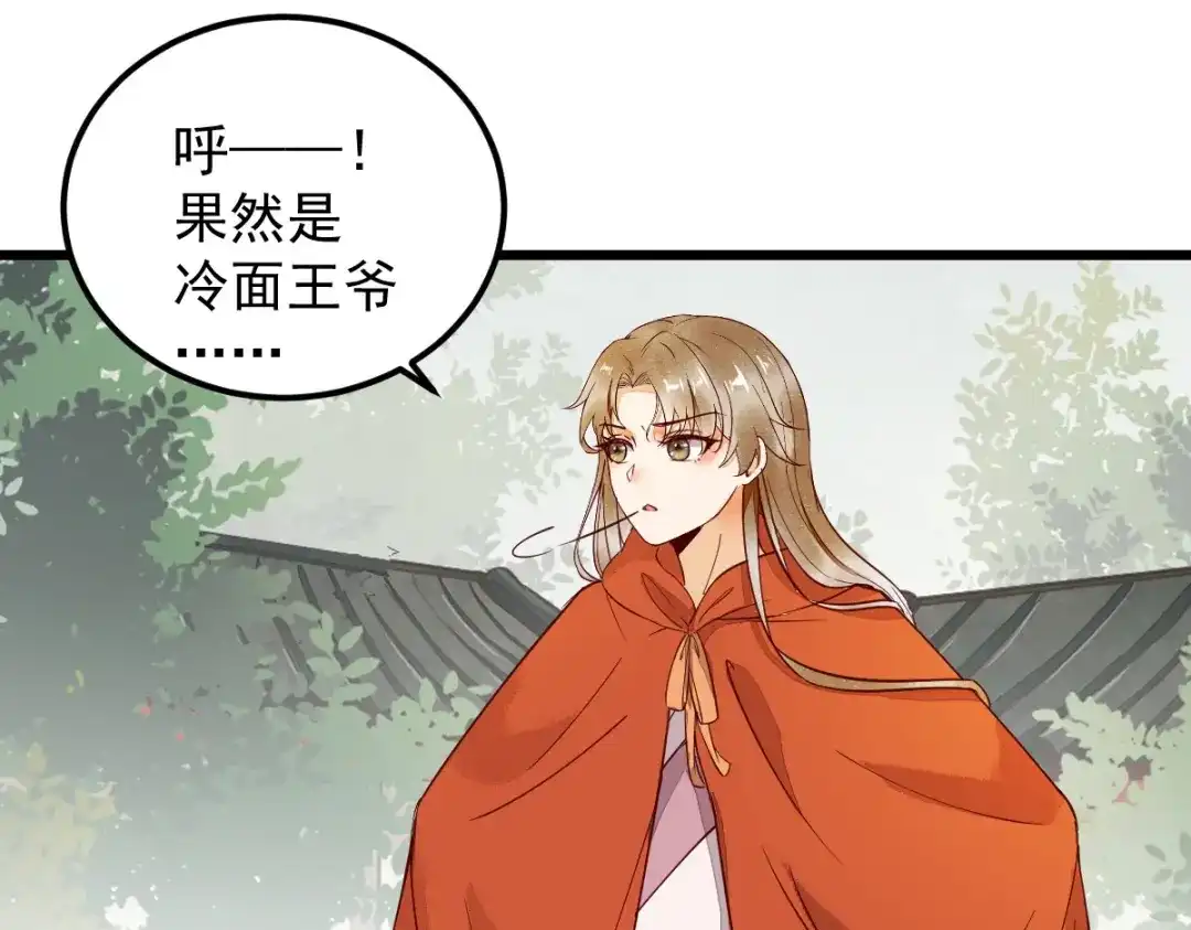 《杀手王妃不好惹》14-回家 第29页