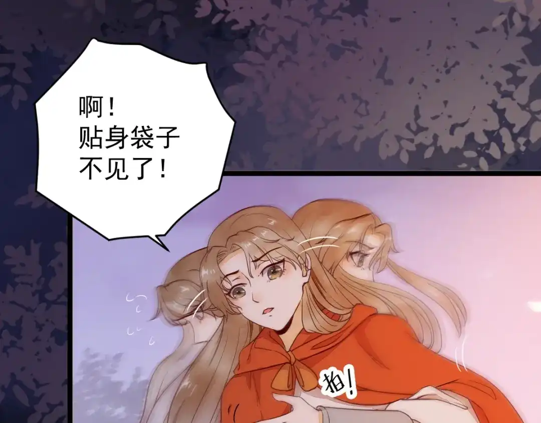 《杀手王妃不好惹》16-面具人 第63页