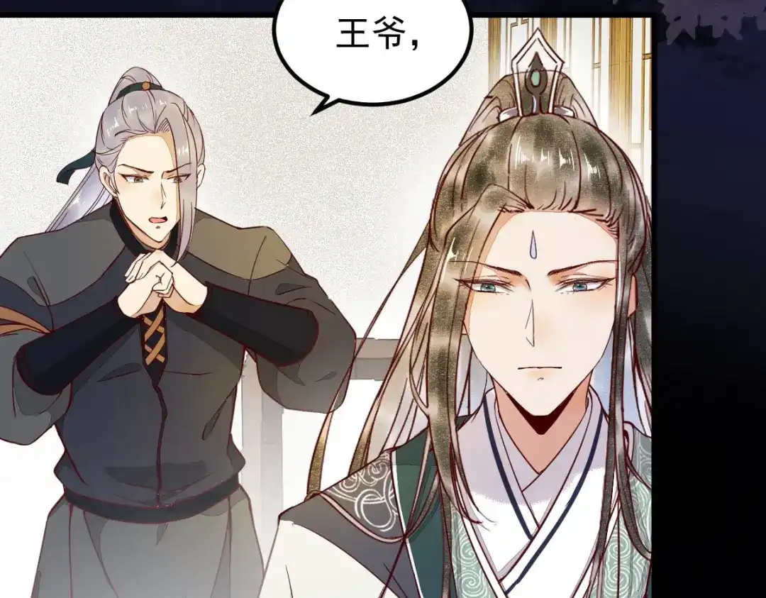 《杀手王妃不好惹》16-面具人 第12页