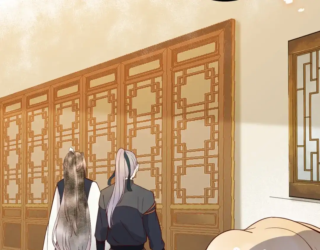 《杀手王妃不好惹》16-面具人 第19页