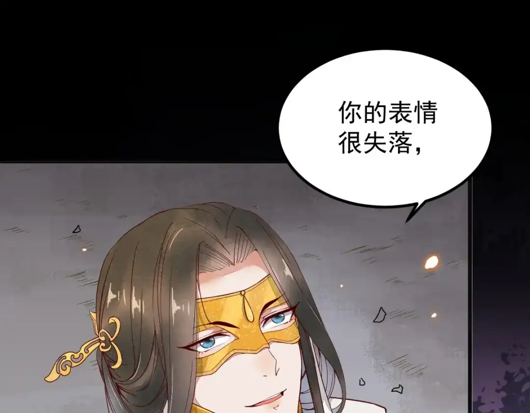《杀手王妃不好惹》16-面具人 第47页